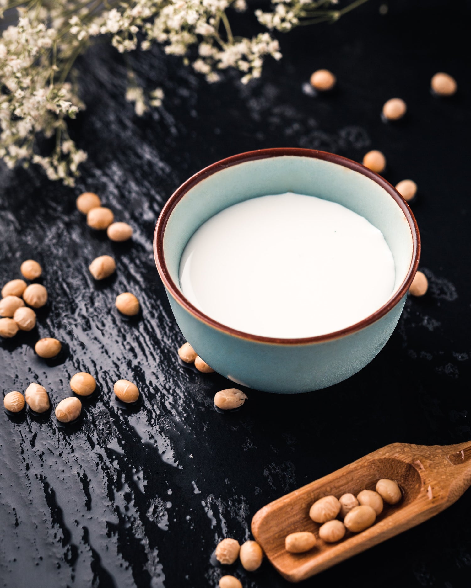 Guide to Plant-based Milks and Coffee