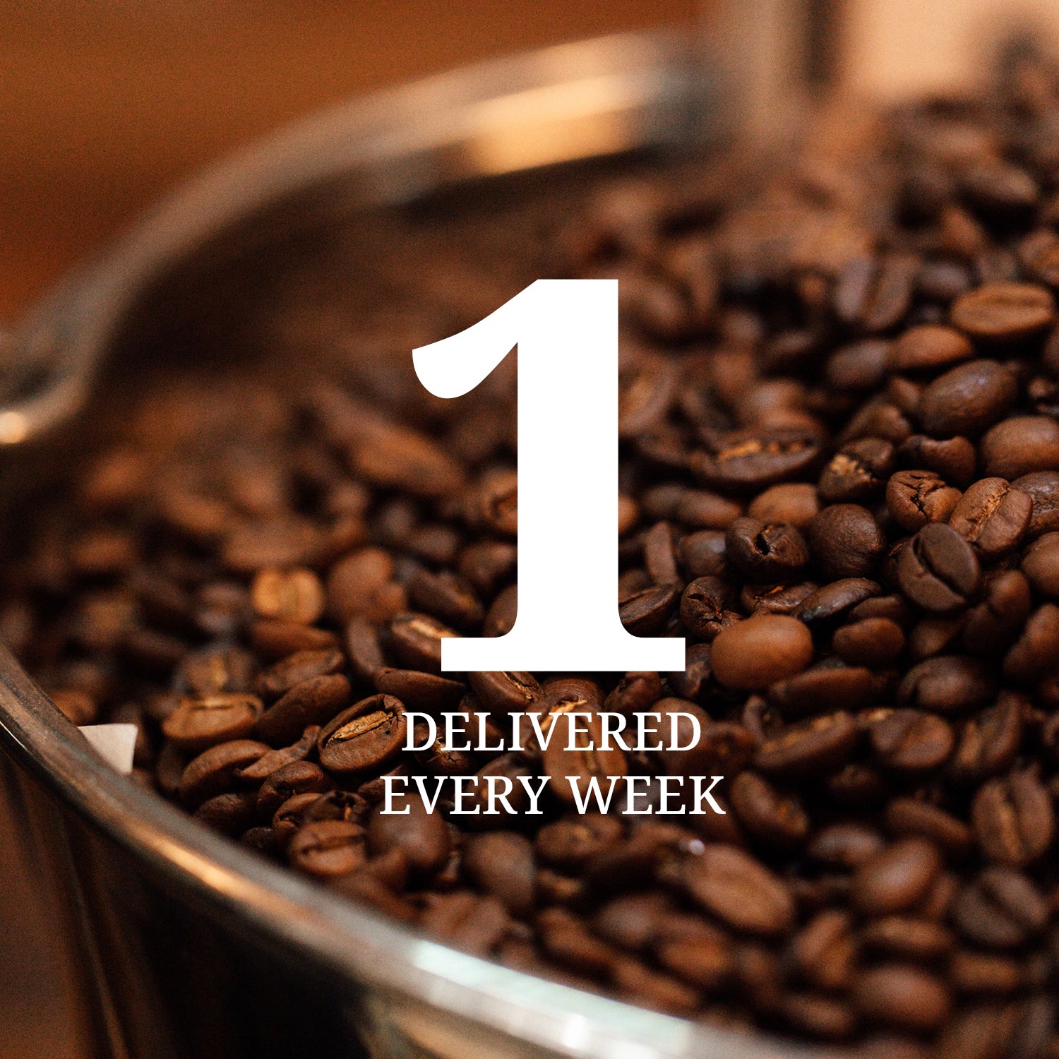 Explorer's Coffee subscription: Weekly