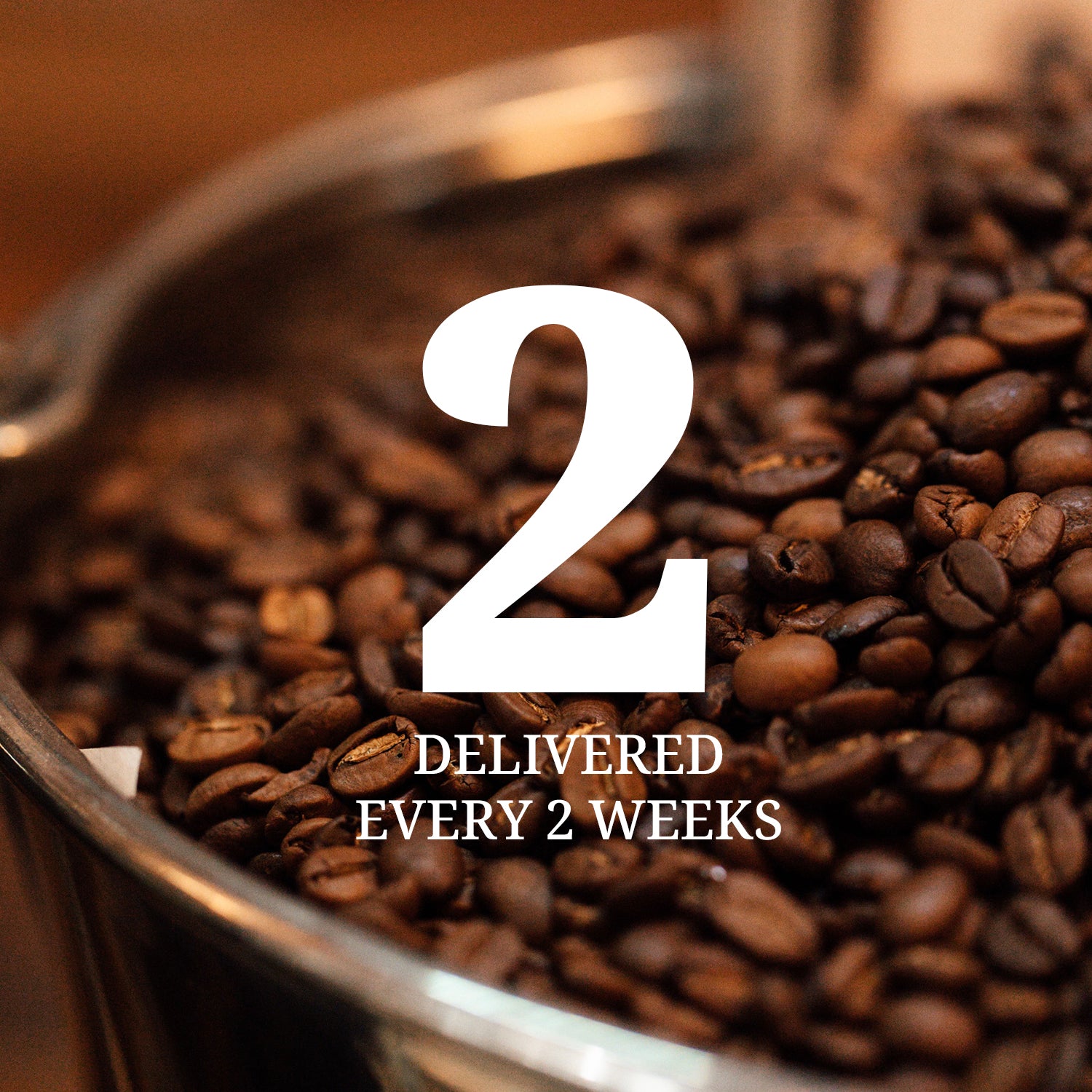 Explorer's Coffee Subscription: Every 2 weeks