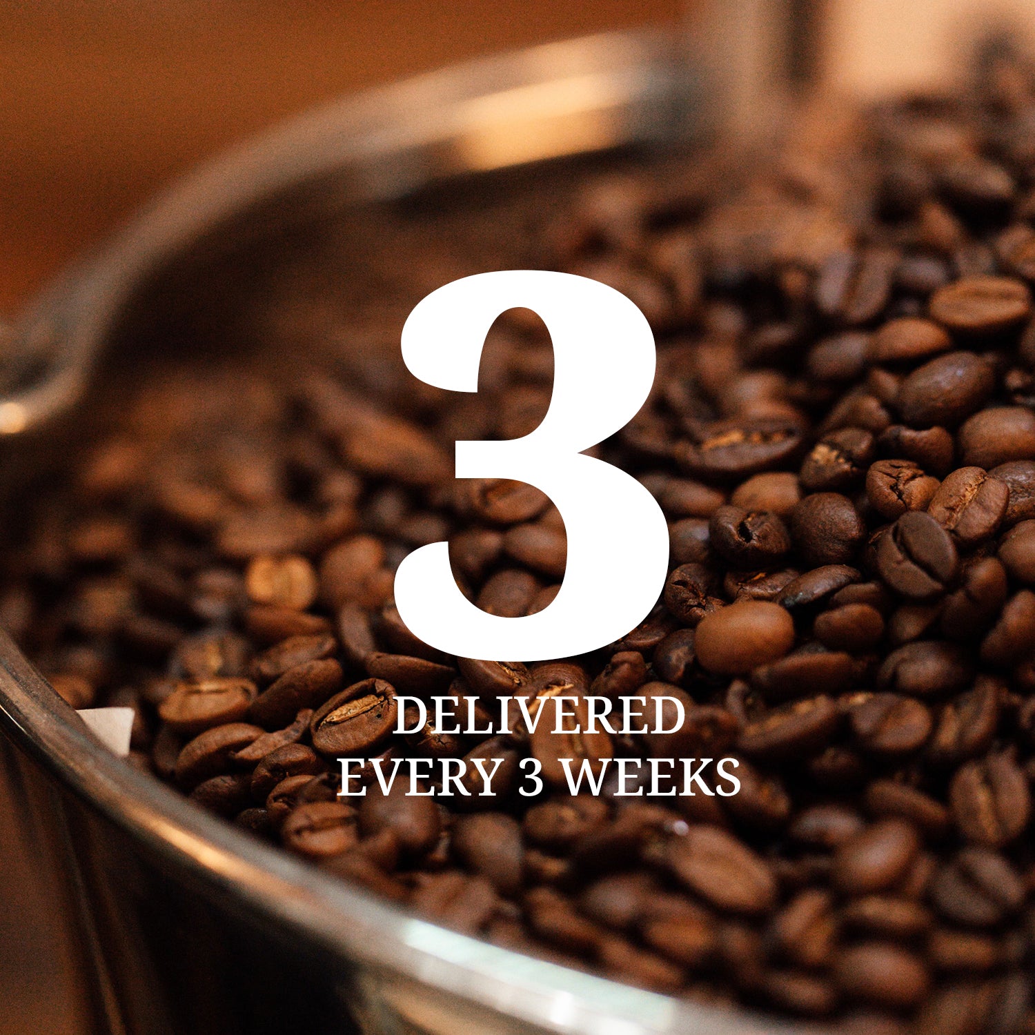 Explorer's Coffee subscription: Every 3 weeks